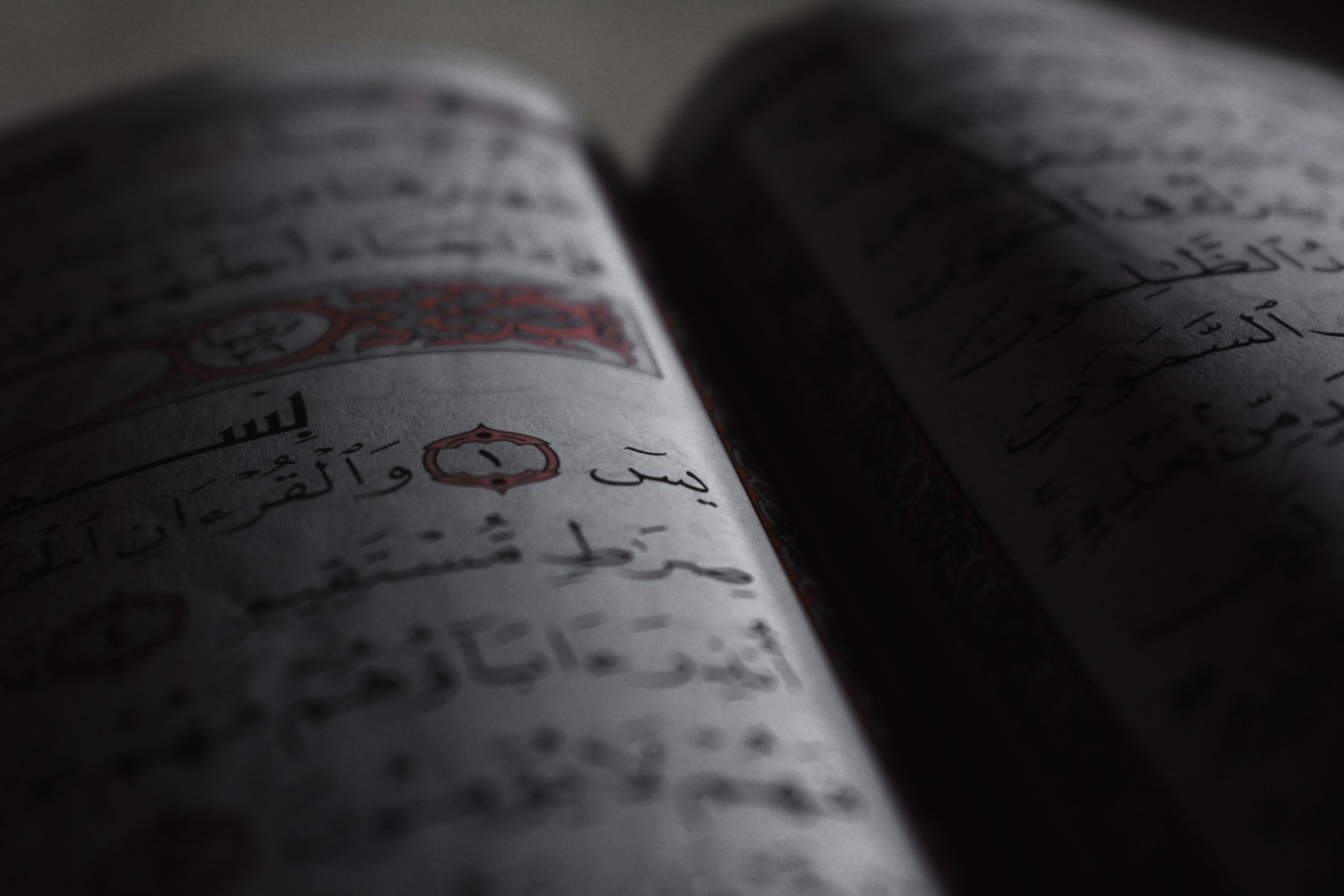 Katedra tefsira: Uvod u kur'ansku suru "Ja Sin" 1 Foto: hilal kh / unsplash.com