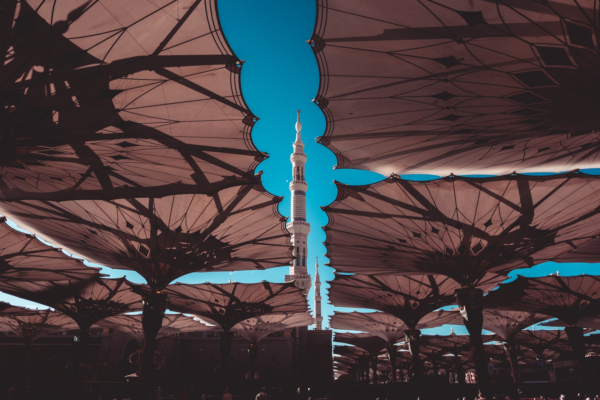 Foto: Said Alamri / unsplash.com
