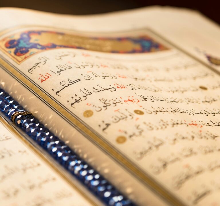 Foto: MdjihadHossen / pixabay.com
