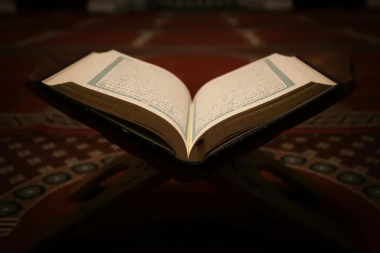 Foto: Aymene Bensetiti / pexels.com